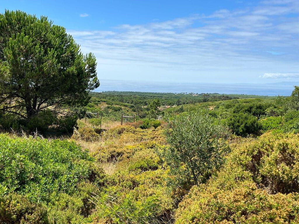 Mixed land 1.6 ha, Sesimbra 235266091