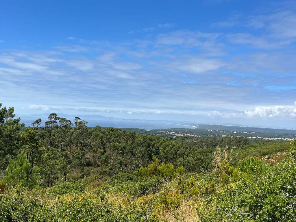 Mixed land 1.6 ha, Sesimbra 235266091