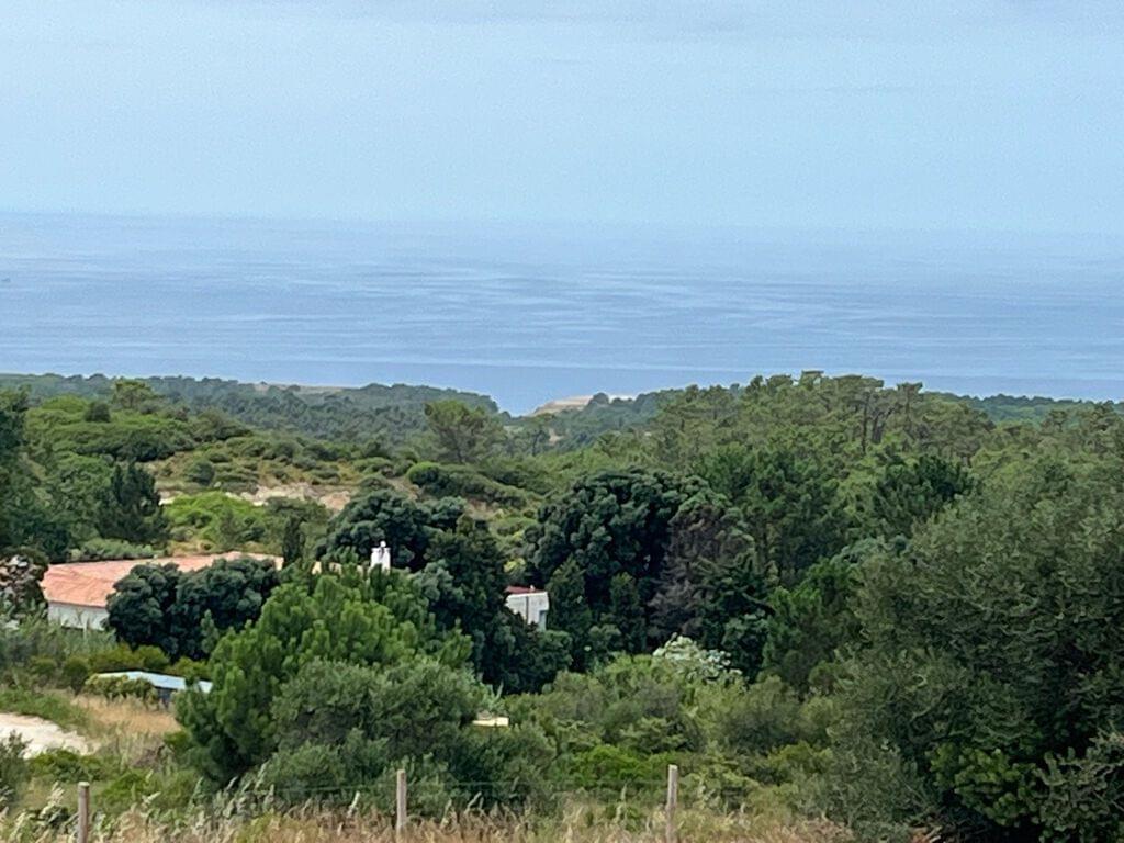 Mixed land 1.6 ha, Sesimbra 235266091