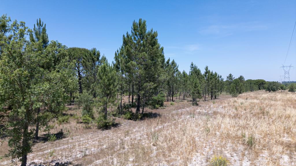 Rural land 9.4 ha, Muda, Grandola 936778012