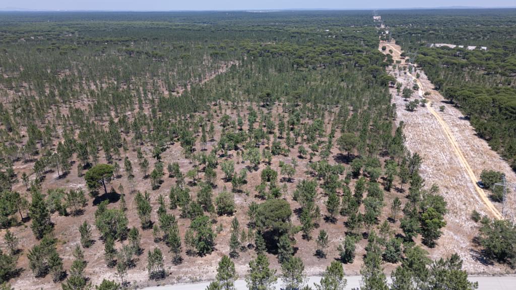 Rural land 9.4 ha, Muda, Grandola 936778012