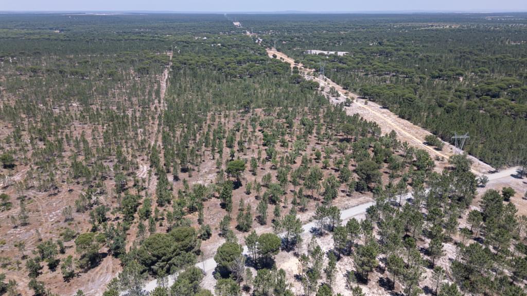 Rural land 9.4 ha, Muda, Grandola 936778012