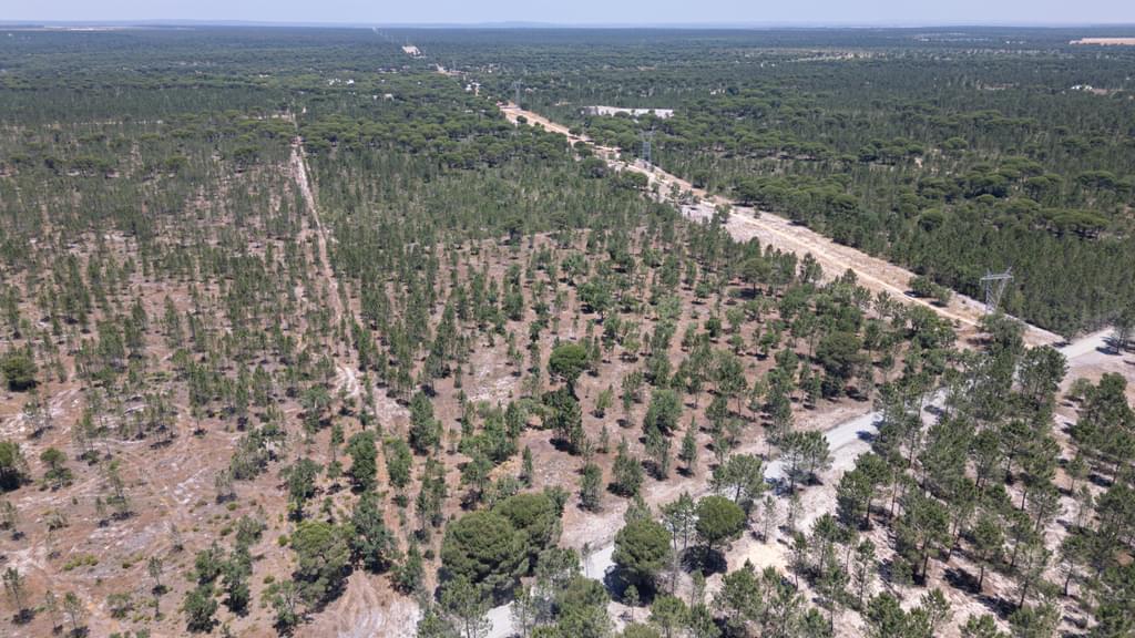 Rural land 9.4 ha, Muda, Grandola 936778012