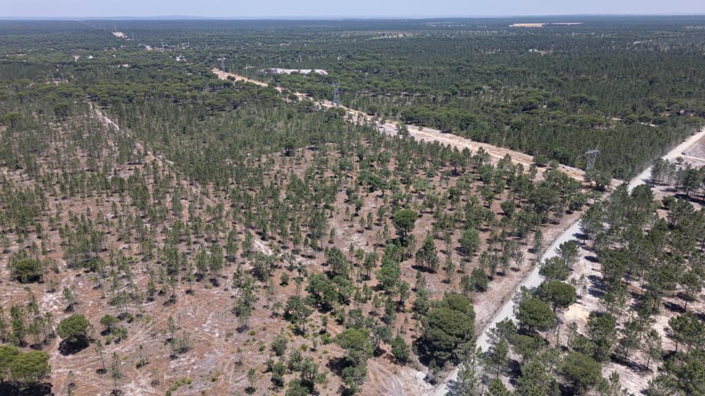 Rural land 9.4 ha, Muda, Grandola 936778012