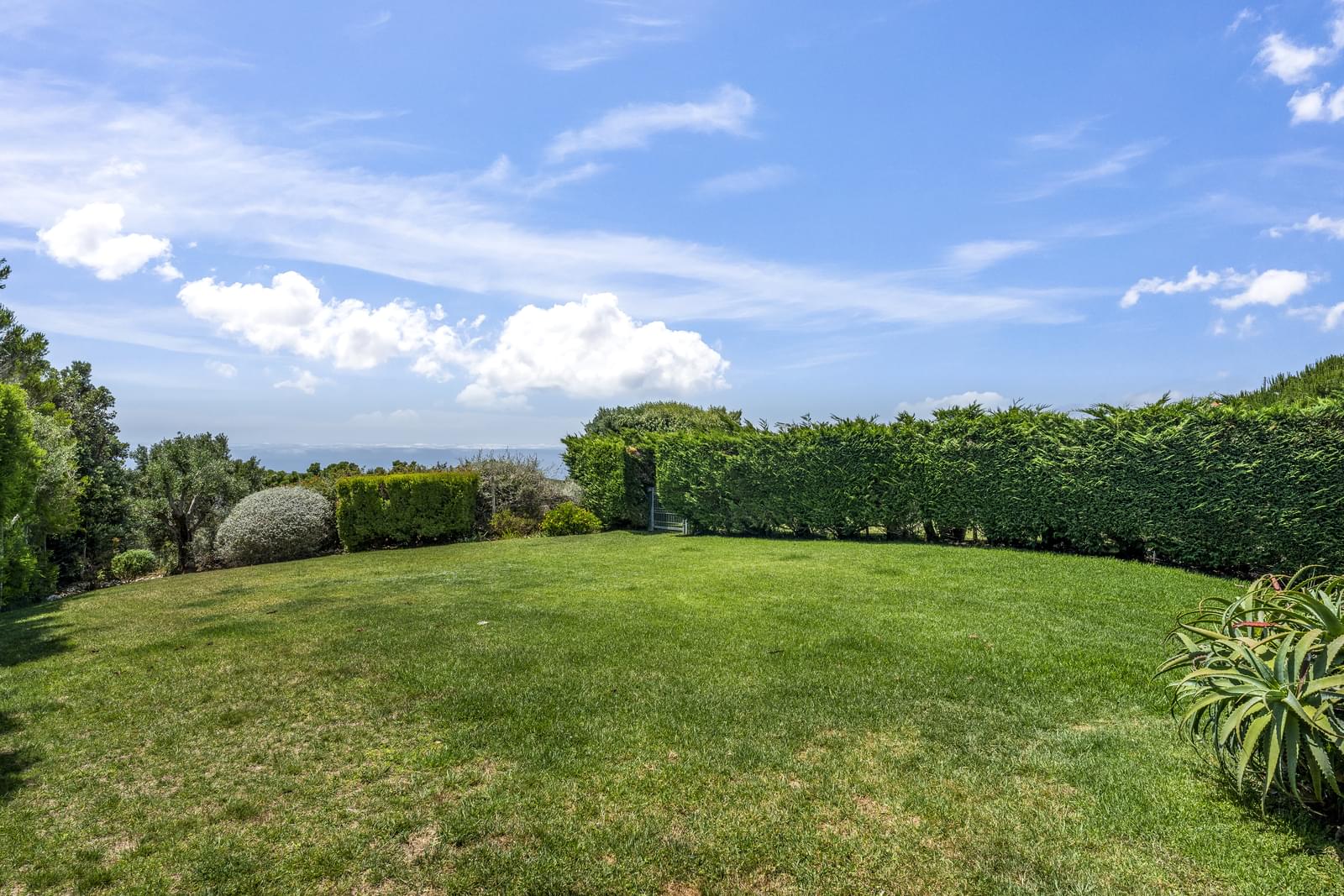 Moradia Geminada T4 com jardim, Malveira da Serra, Cascais - Imagem 28