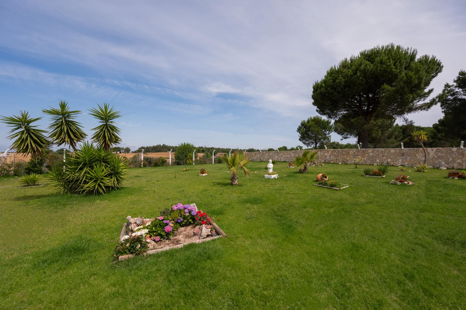 Quinta 1.5 ha, Pegões, Montijo - Imagem 11