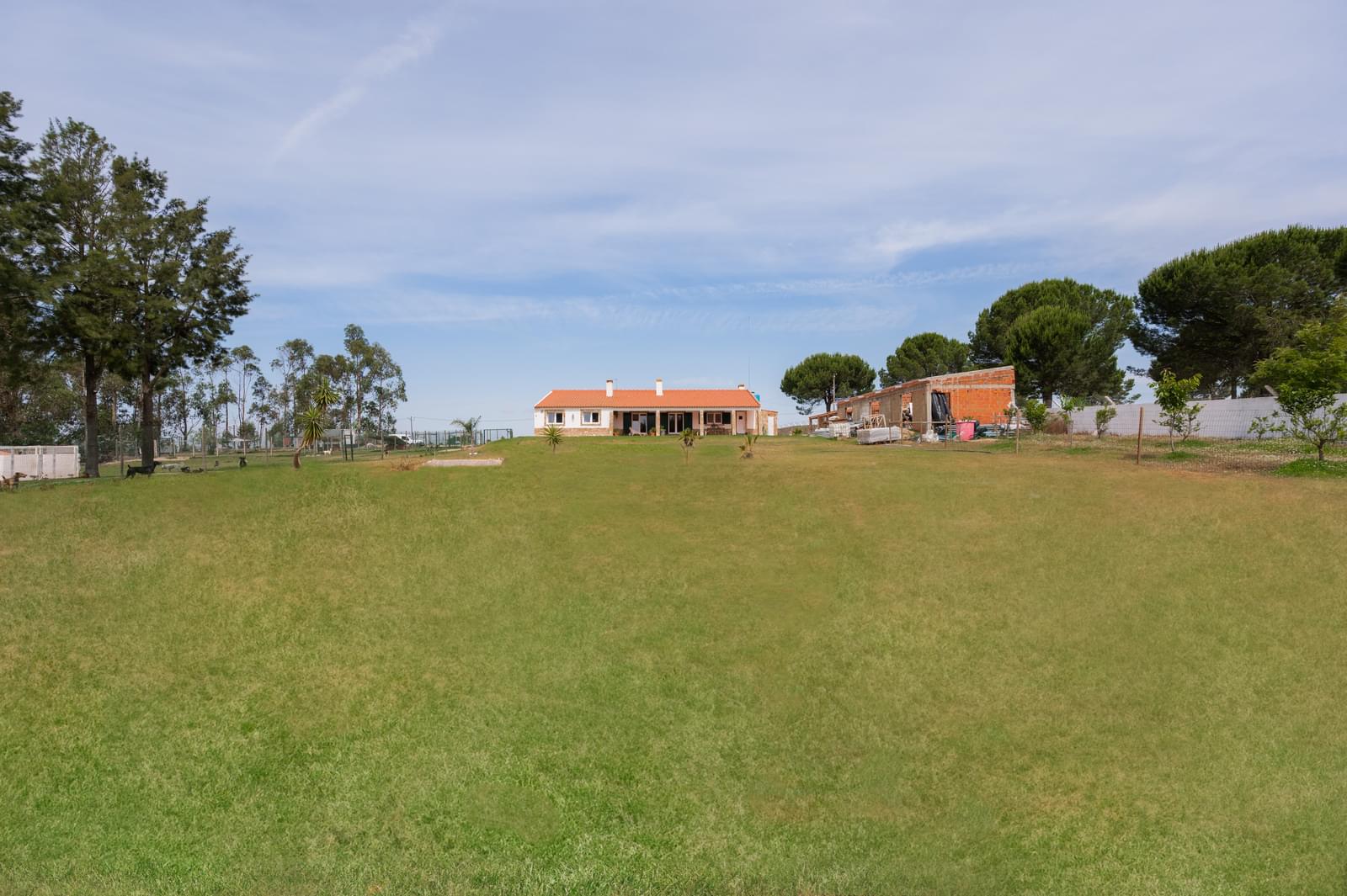 Quinta 1.5 ha, Pegões, Montijo - Imagem 8