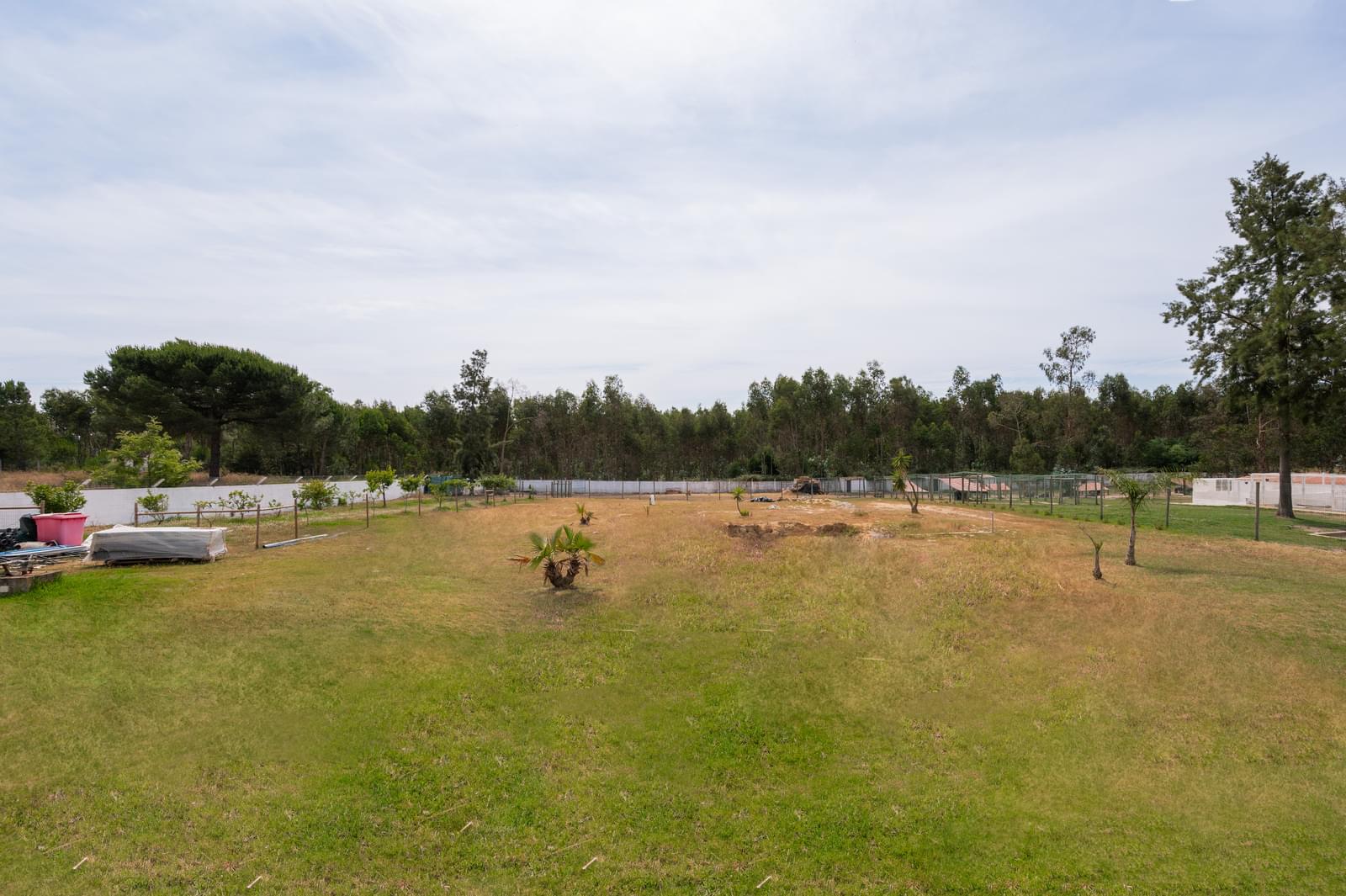 Quinta 1.5 ha, Pegões, Montijo - Imagem 13