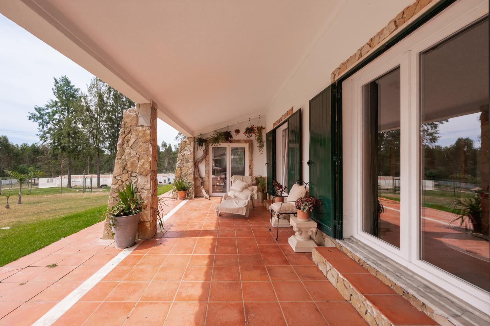 Quinta 1.5 ha, Pegões, Montijo - Imagem 3