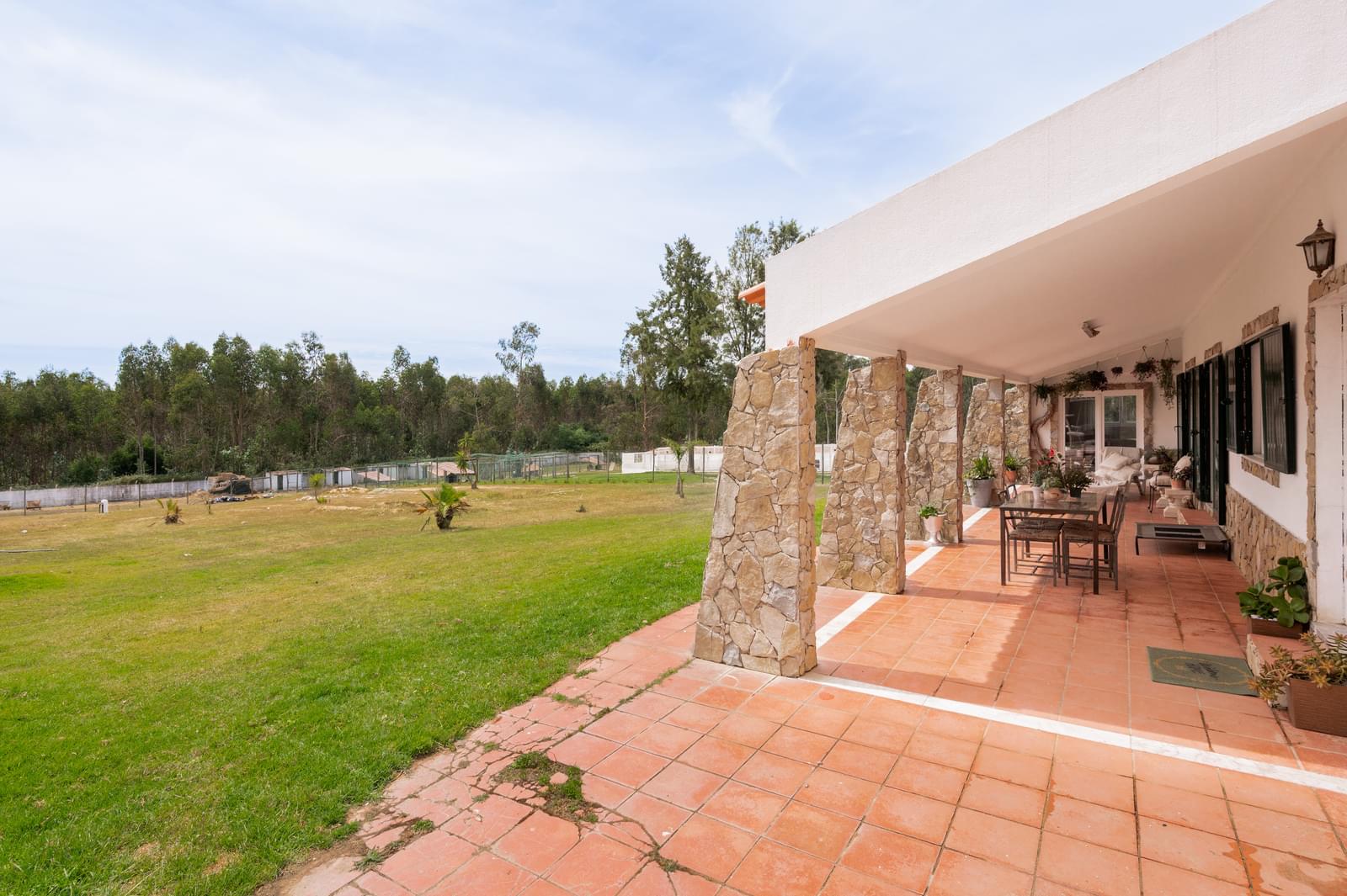 Quinta 1.5 ha, Pegões, Montijo - Imagem 4