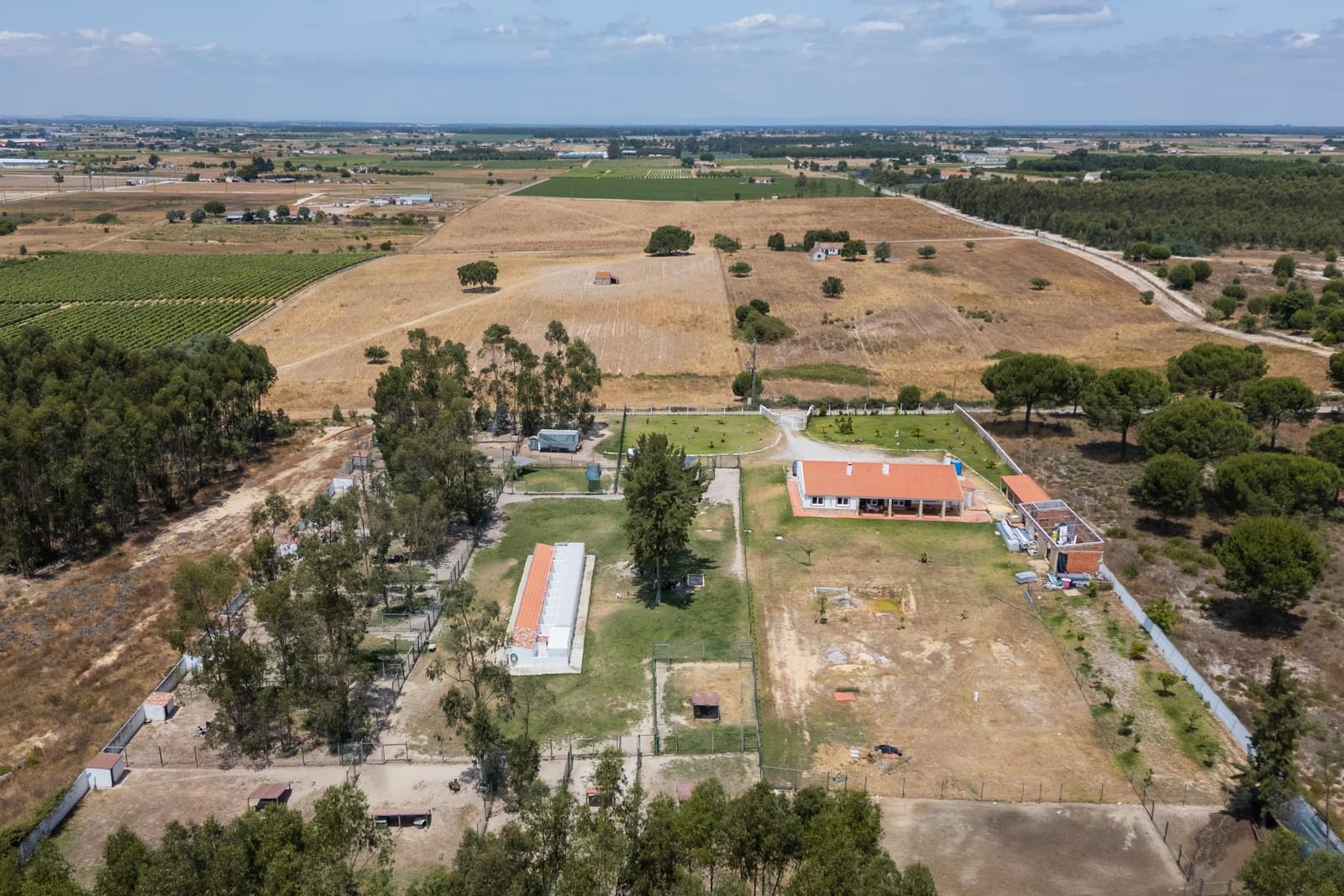Quinta 1.5 ha, Pegões, Montijo - Imagem 32
