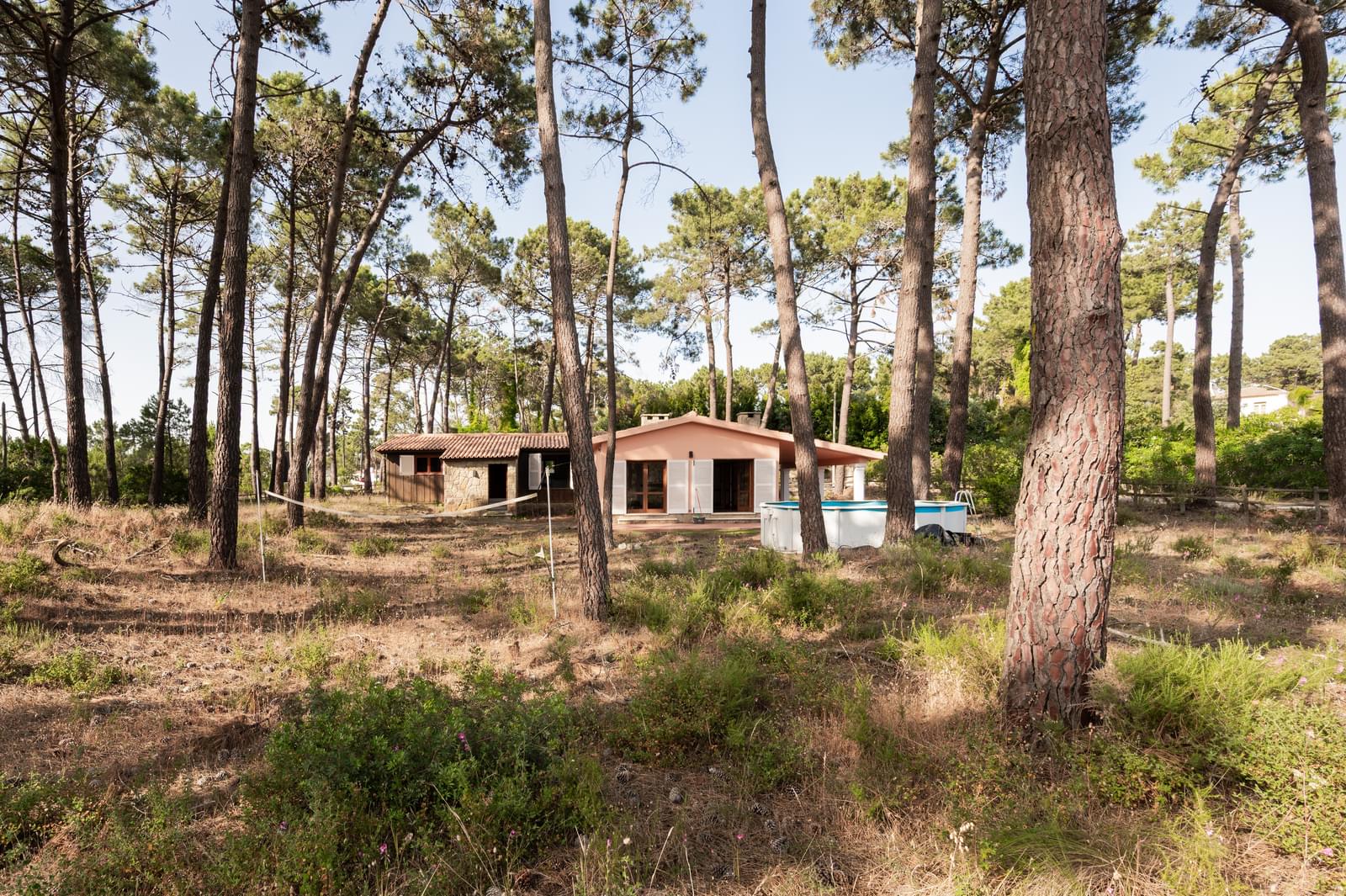 Terreno 2800 m2, Aroeira, Almada - Imagem 2