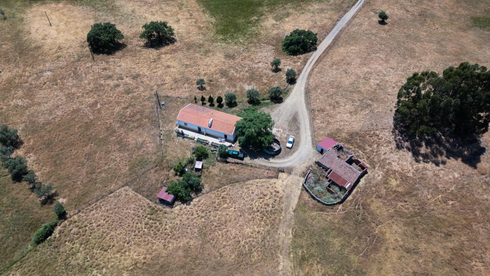 Quinta 18.0 ha, São Francisco da Serra, Santiago do Cacem - Imagem 4