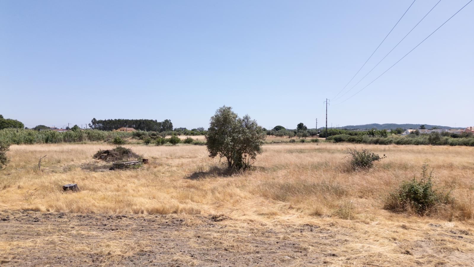 Quintinha 2.5 ha, Grandola - Imagem 25
