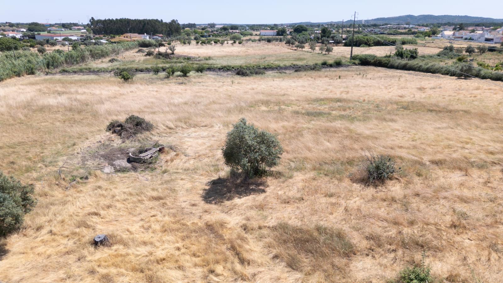 Quintinha 2.5 ha, Grandola - Imagem 24