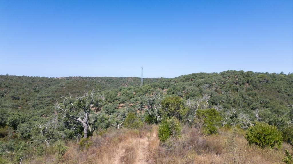 Mixed land 10.0 ha, São Francisco da Serra, Santiago do Cacem 1976511598