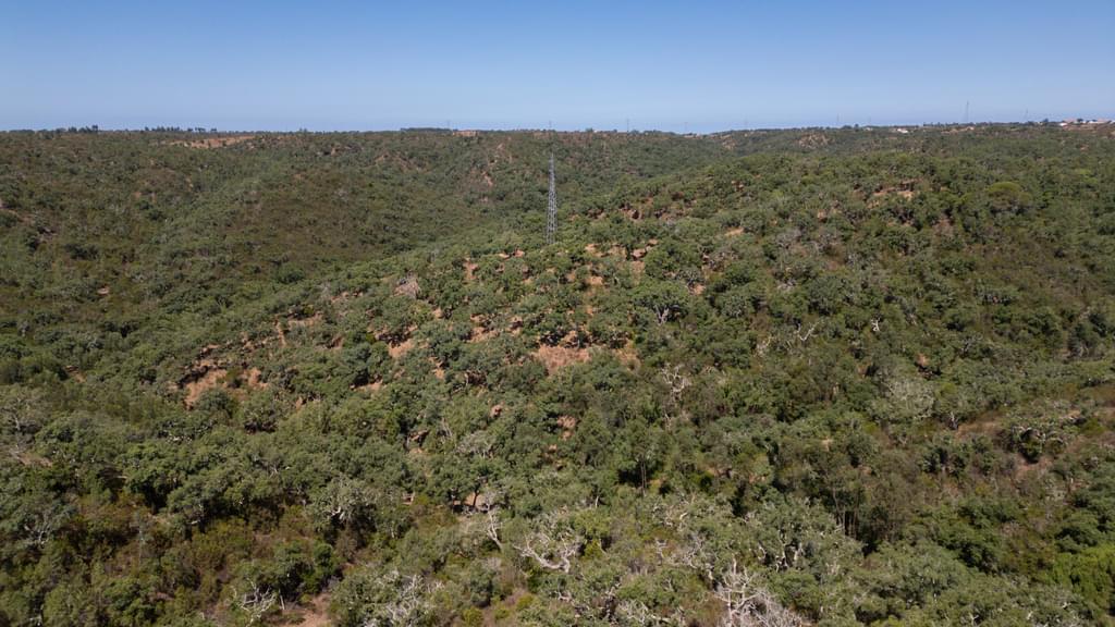 Mixed land 10.0 ha, São Francisco da Serra, Santiago do Cacem 1976511598