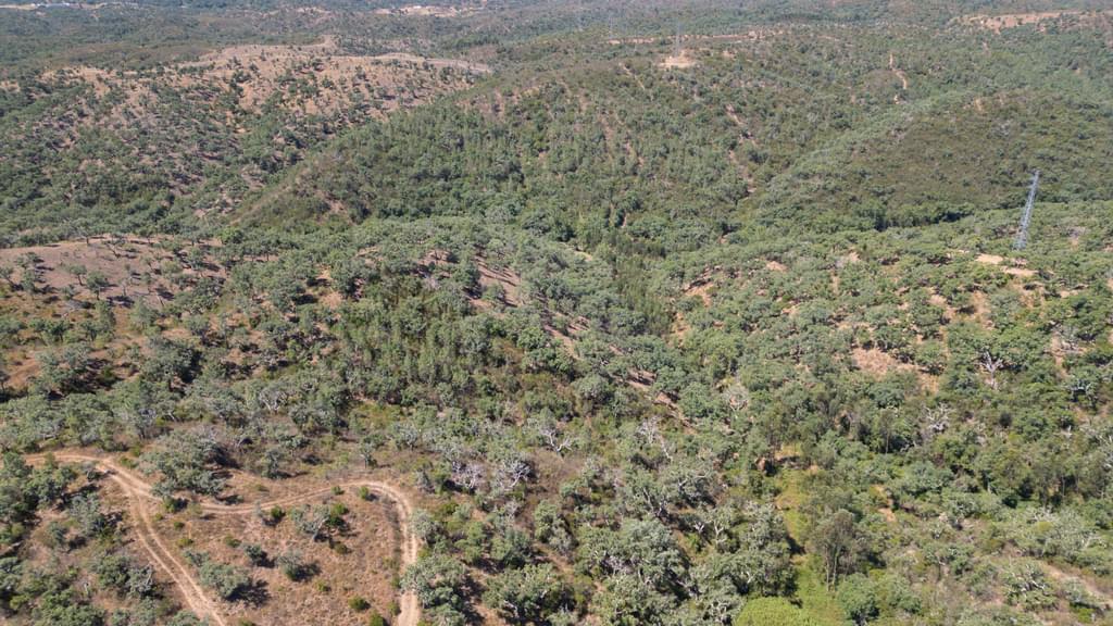 Mixed land 10.0 ha, São Francisco da Serra, Santiago do Cacem 1976511598