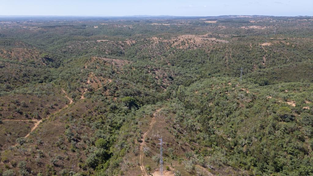 Mixed land 10.0 ha, São Francisco da Serra, Santiago do Cacem 1976511598