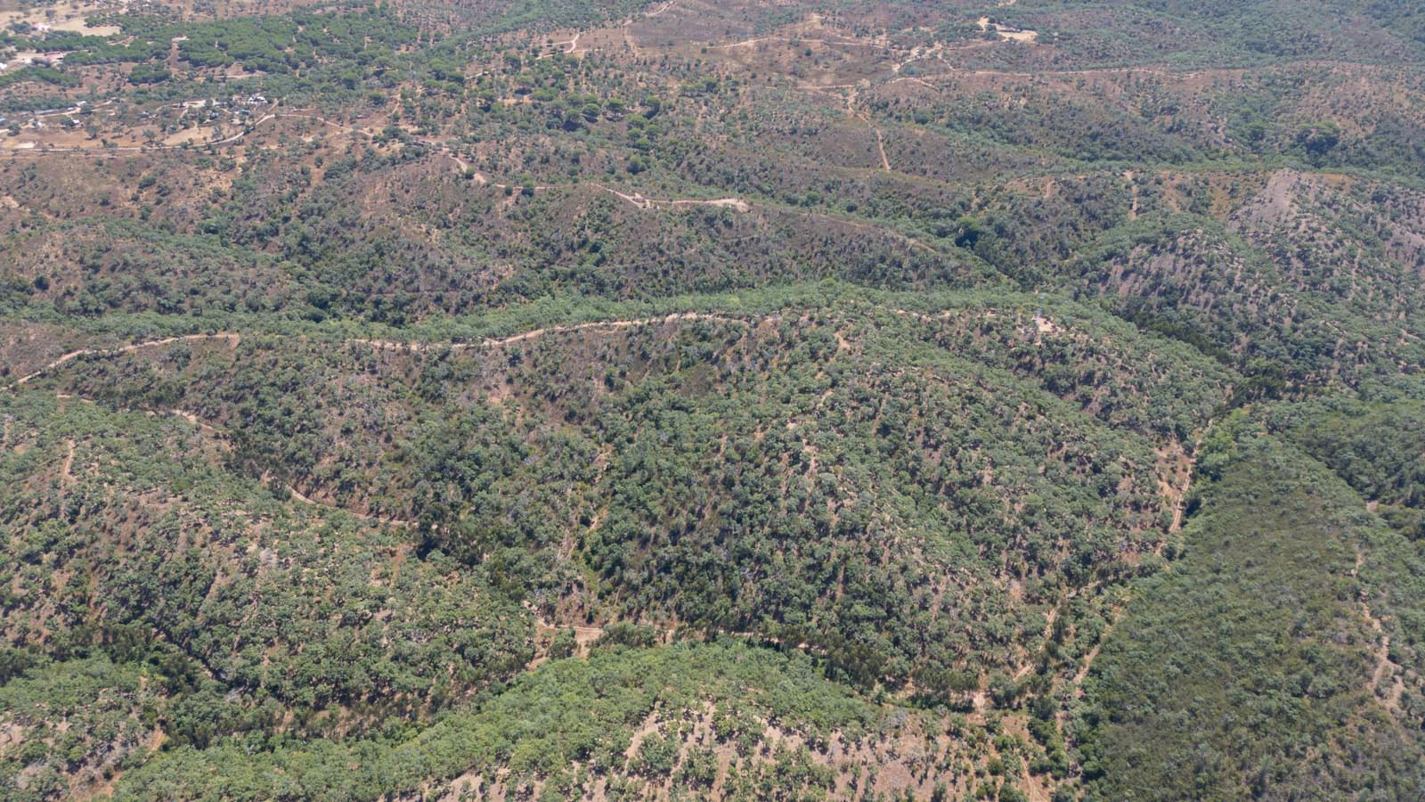 Quinta 10.0 ha, Santiago do Cacem - Imagem 15