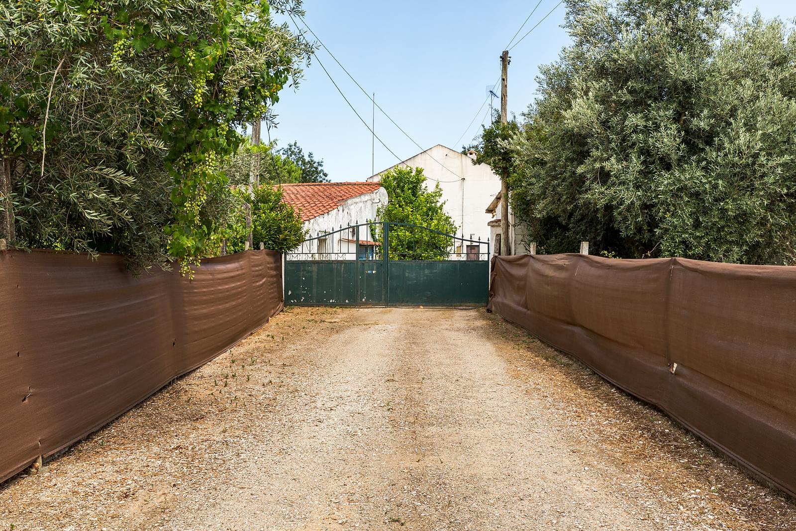 Quinta 2.3 ha, Alvega, Abrantes - Imagem 48