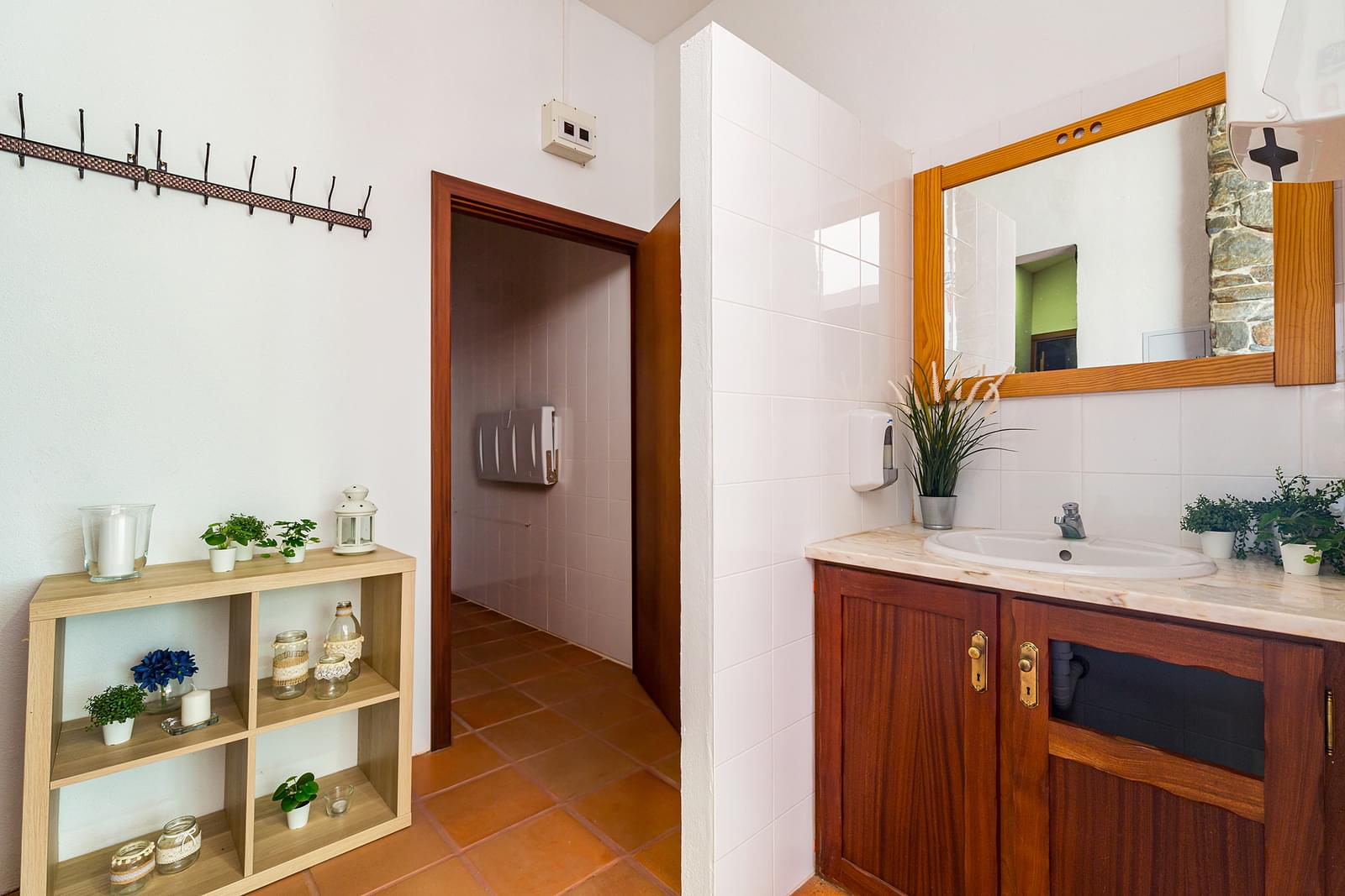 Quinta 2.3 ha, Alvega, Abrantes - Imagem 39