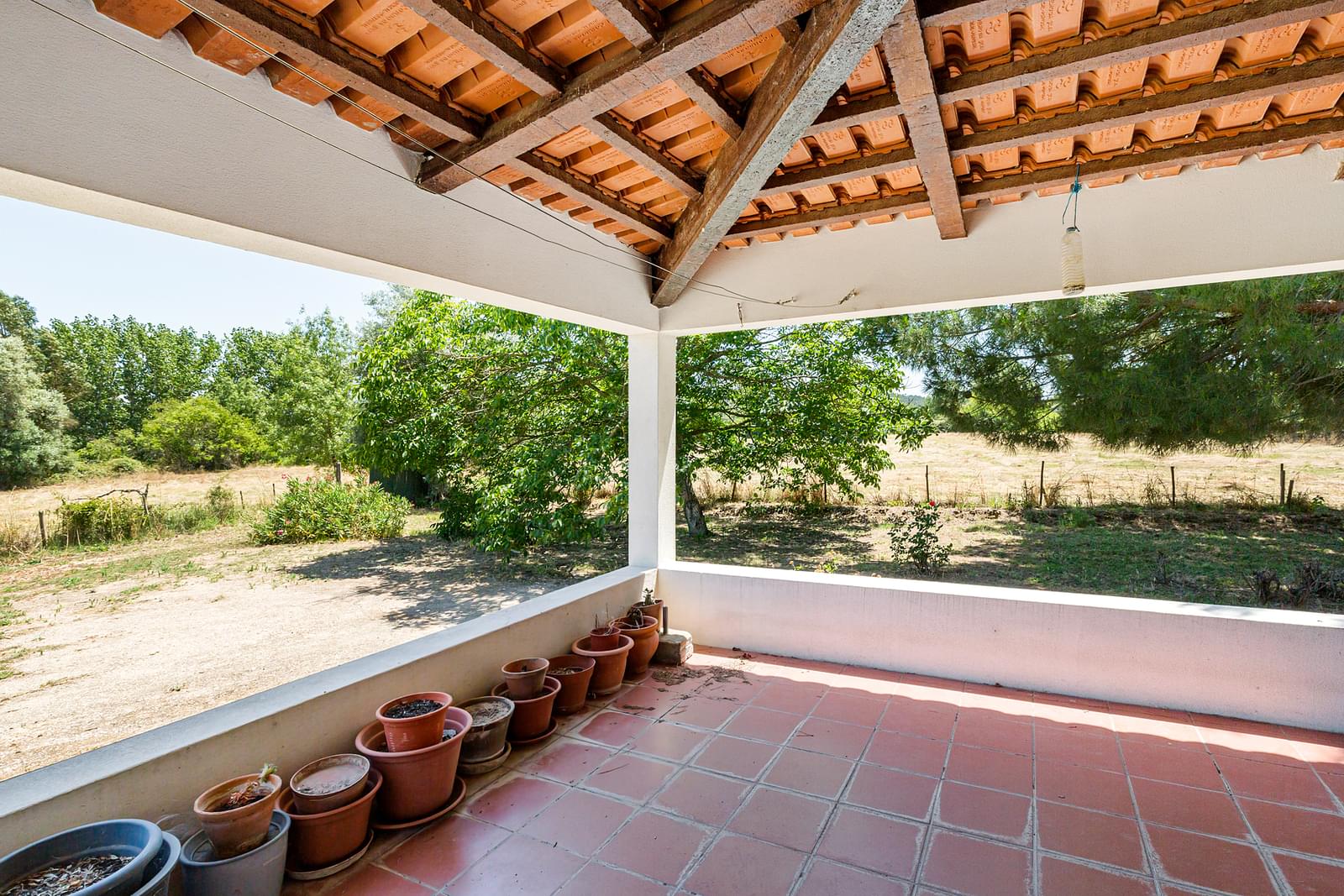 Quinta 2.3 ha, Alvega, Abrantes - Imagem 27