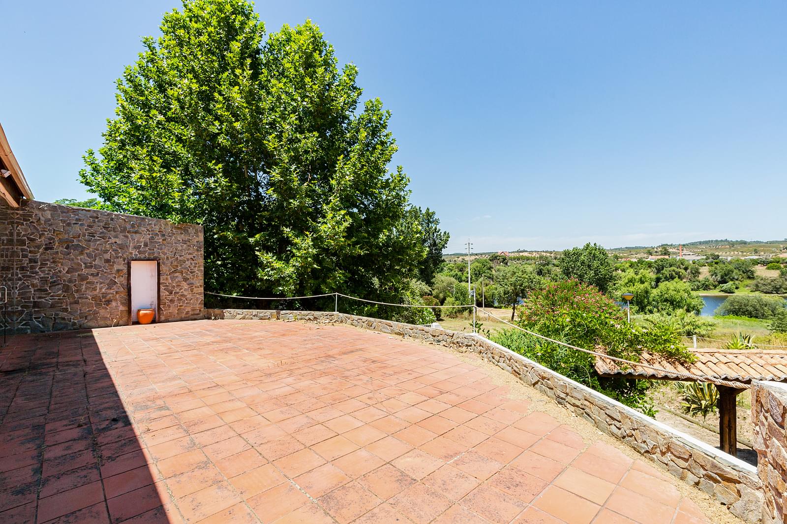 Quinta 2.3 ha, Alvega, Abrantes - Imagem 9