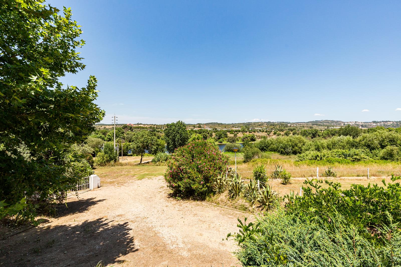 Quinta 2.3 ha, Alvega, Abrantes - Imagem 10