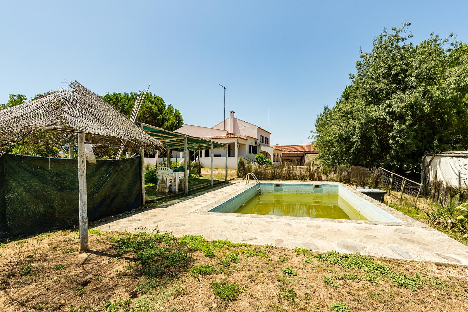 Quinta 2.3 ha, Alvega, Abrantes - Imagem 45