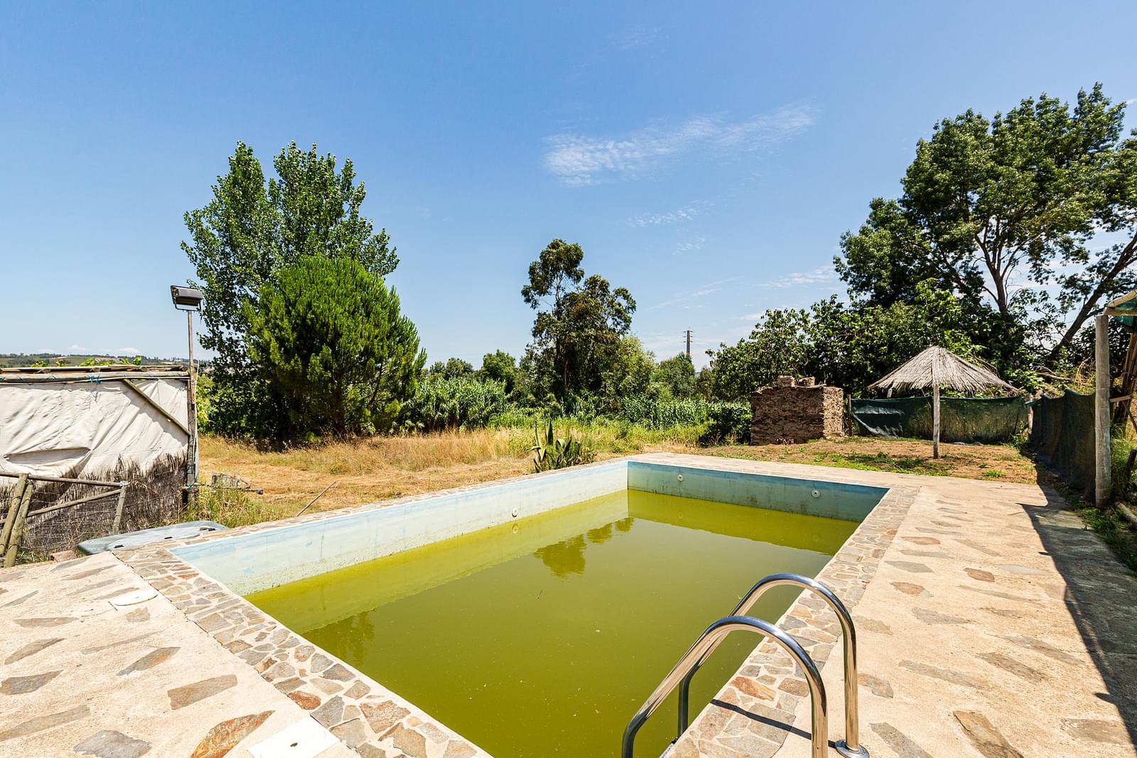 Quinta 2.3 ha, Alvega, Abrantes - Imagem 46