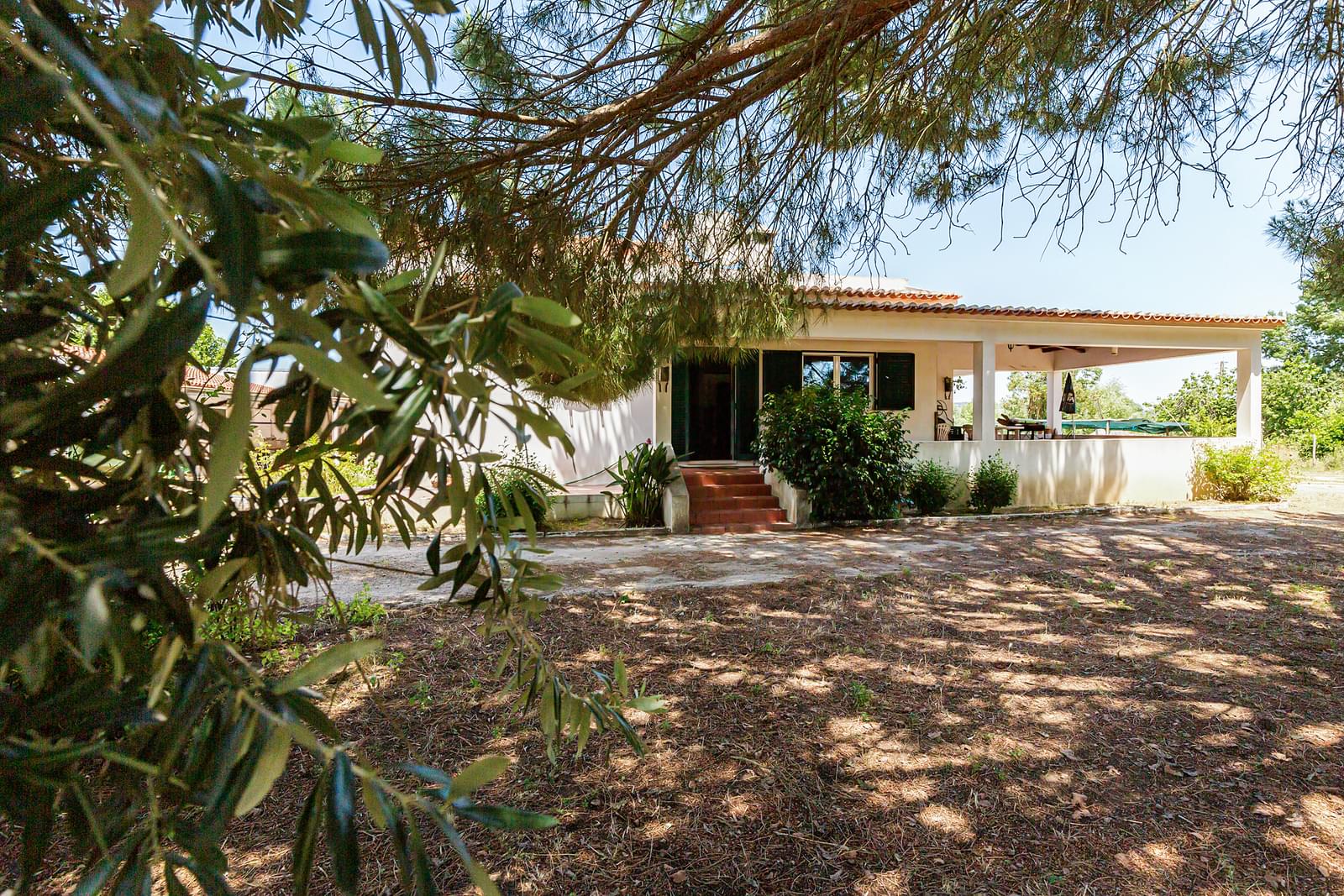 Quinta 2.3 ha, Alvega, Abrantes - Imagem 22