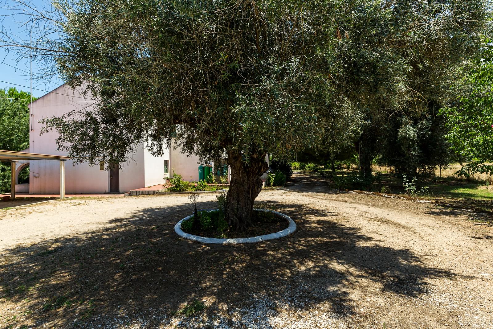 Quinta 2.3 ha, Alvega, Abrantes - Imagem 21