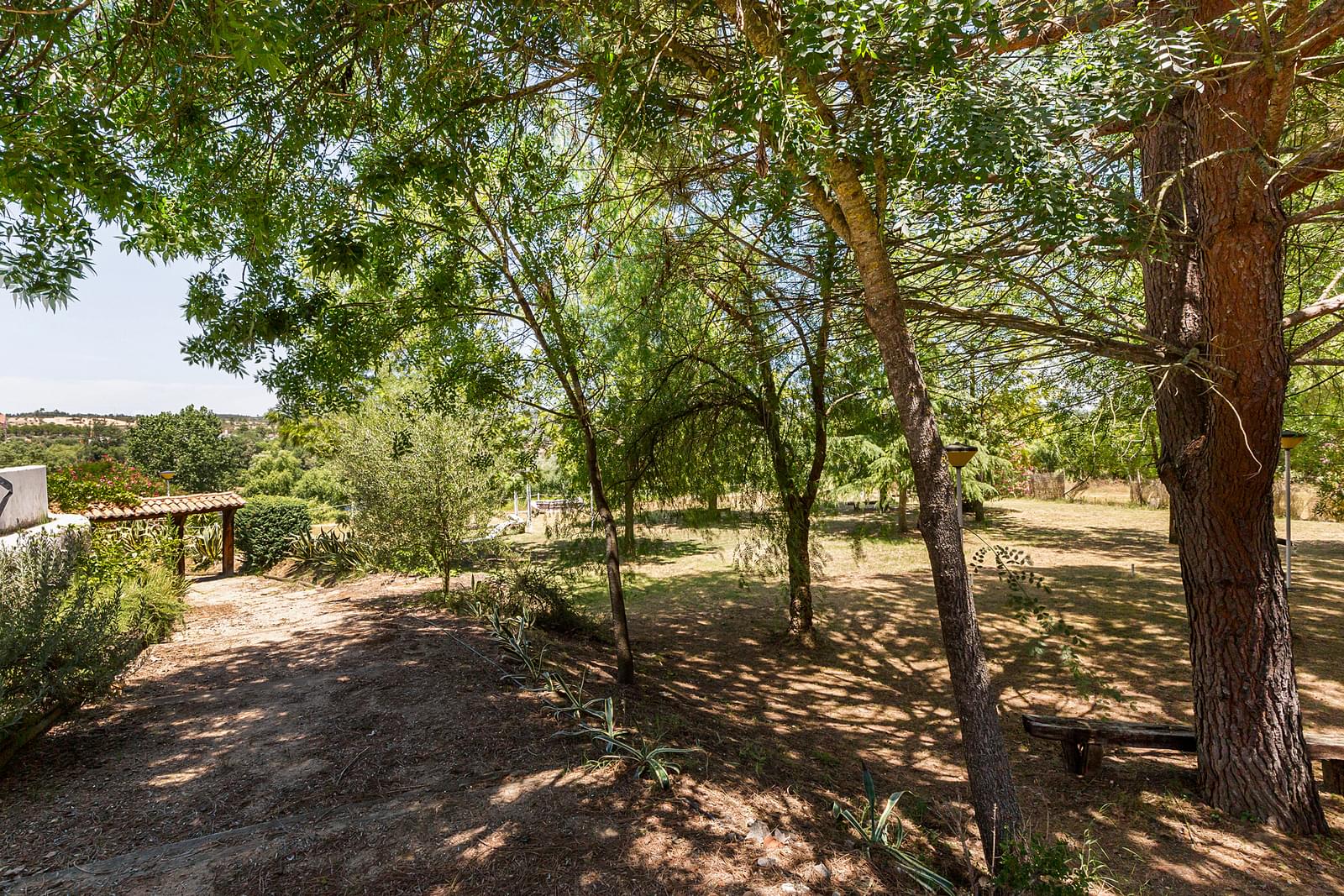 Quinta 2.3 ha, Alvega, Abrantes - Imagem 19