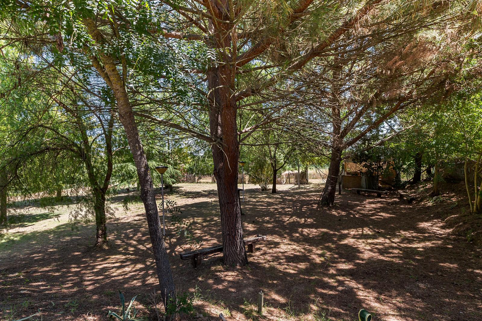 Quinta 2.3 ha, Alvega, Abrantes - Imagem 20