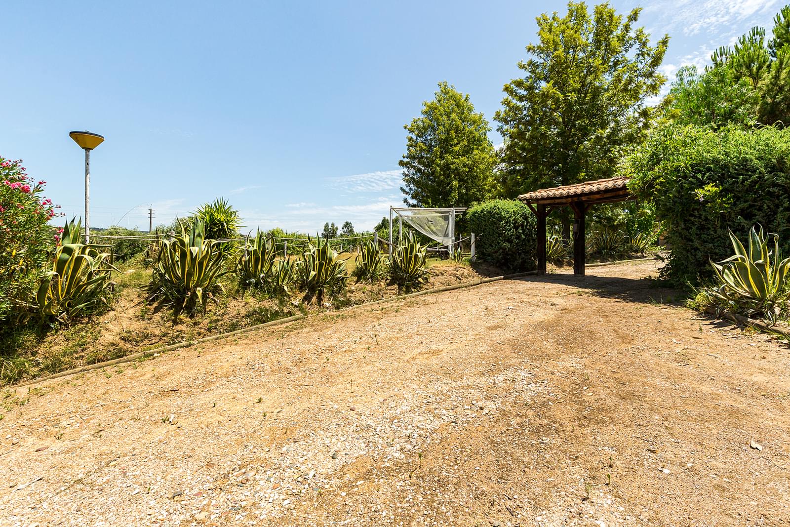 Quinta 2.3 ha, Alvega, Abrantes - Imagem 12