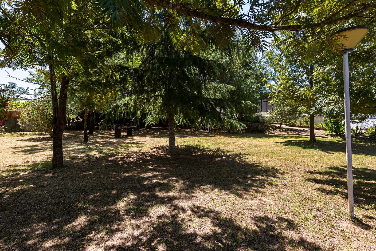 Quinta 2.3 ha, Alvega, Abrantes - Imagem 17