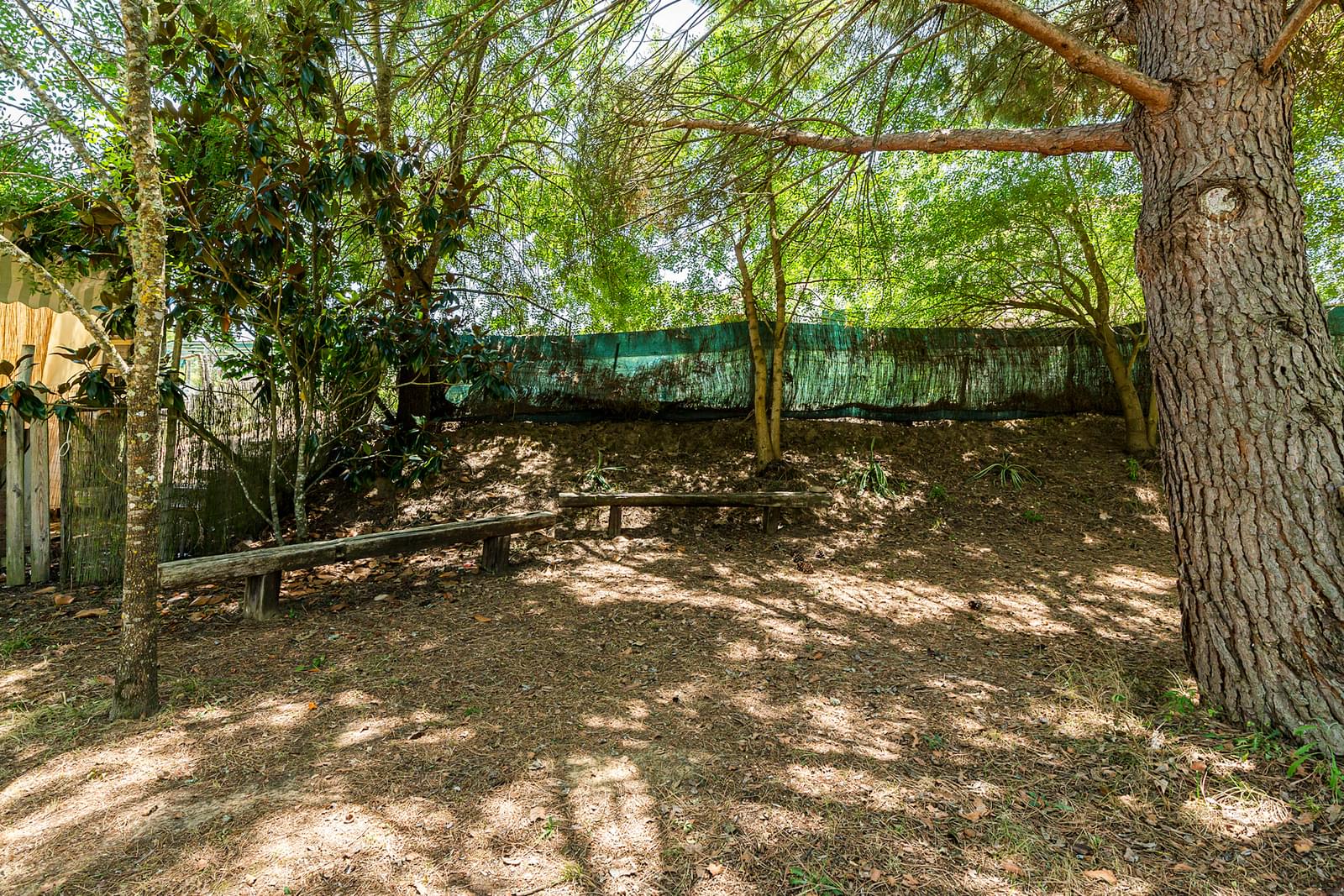 Quinta 2.3 ha, Alvega, Abrantes - Imagem 18