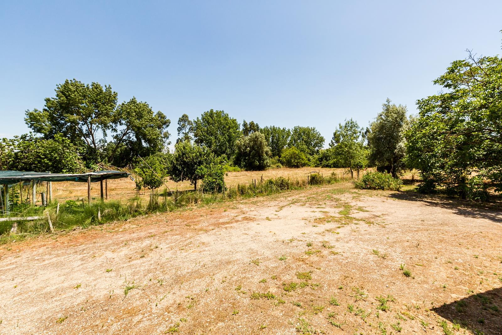 Quinta 2.3 ha, Alvega, Abrantes - Imagem 16