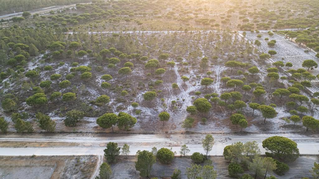 Land 7.5 ha, Muda, Grandola 2282759241