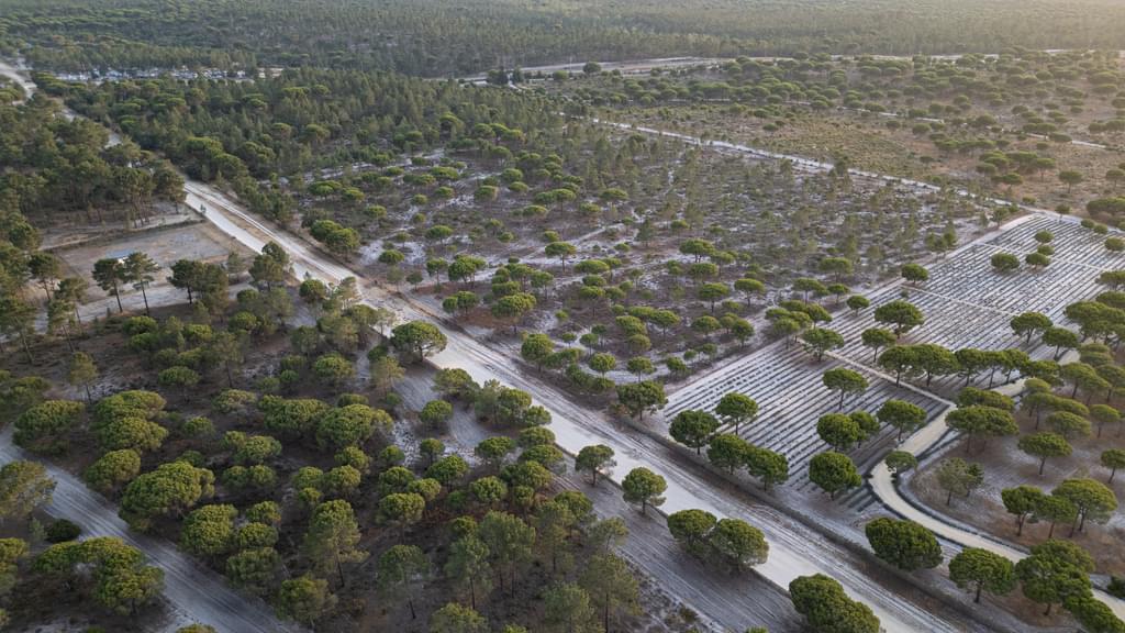 Land 7.5 ha, Muda, Grandola 2282759241