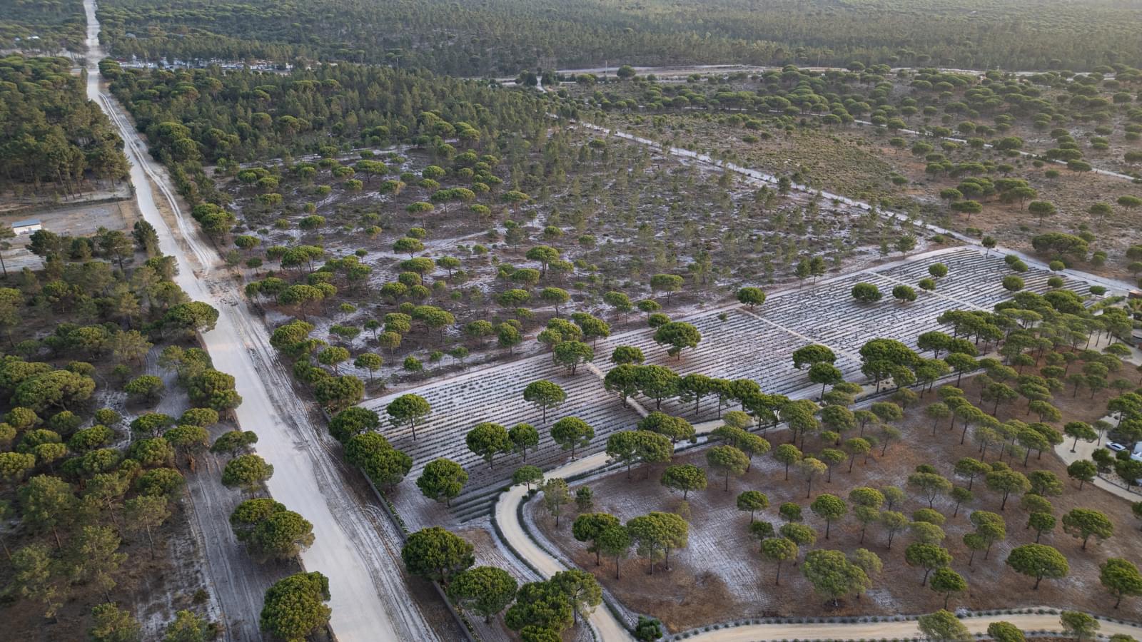 Terreno 7.5 ha, Muda, Grandola - Imagem 6