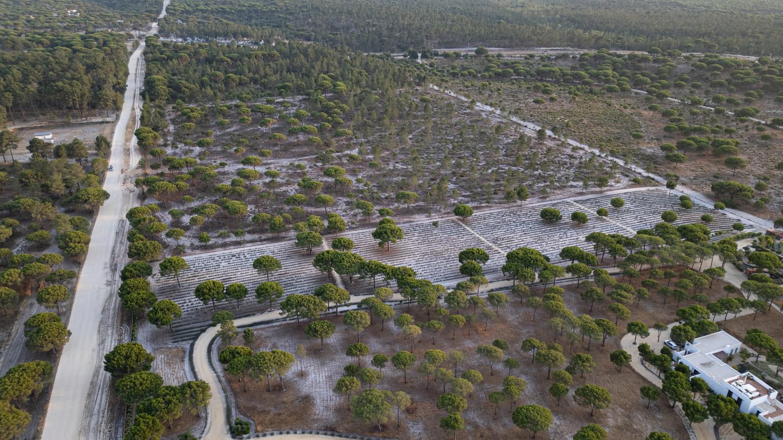 Terreno 7.5 ha, Muda, Grandola - Imagem 7