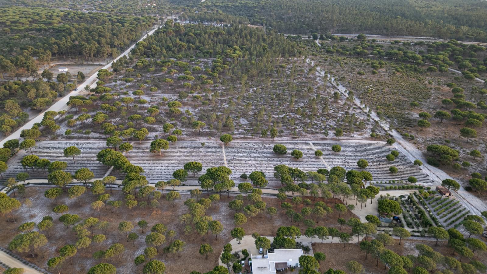 Terreno 7.5 ha, Muda, Grandola - Imagem 8