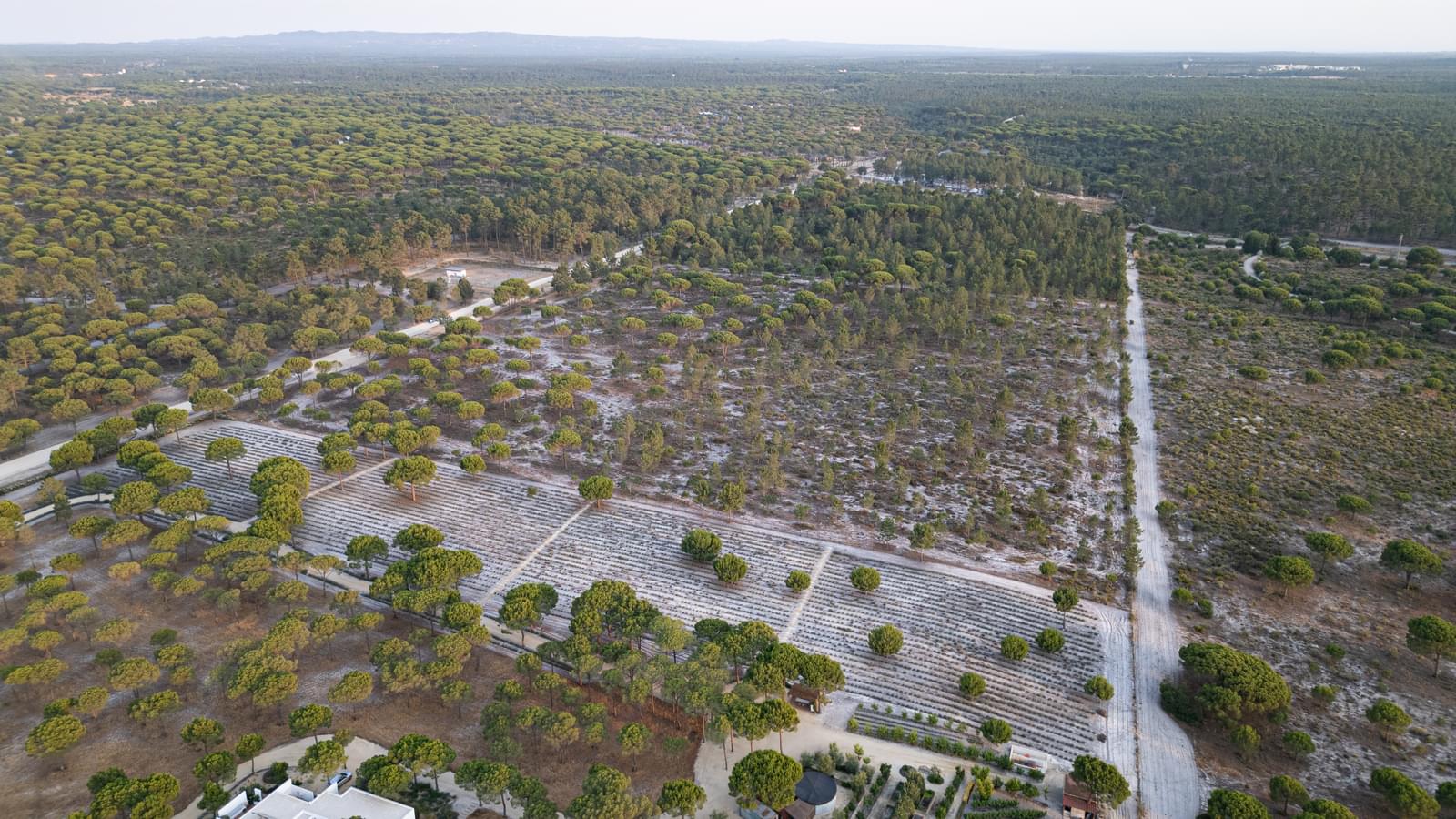 Terreno 7.5 ha, Muda, Grandola - Imagem 9