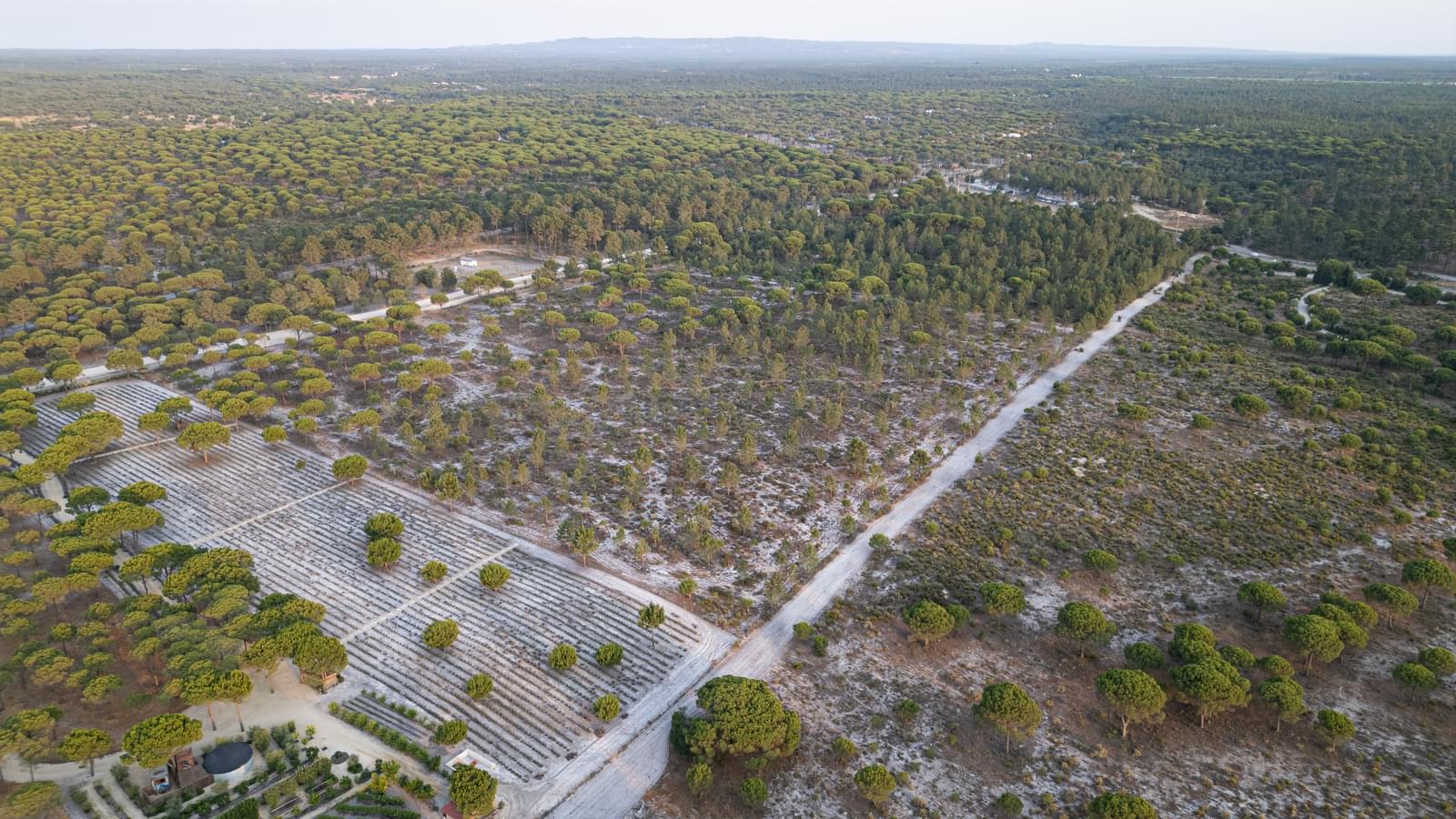 Terreno 7.5 ha, Muda, Grandola - Imagem 10