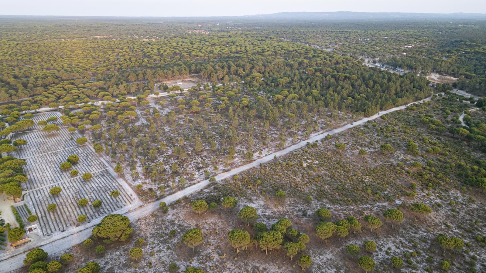 Terreno 7.5 ha, Muda, Grandola - Imagem 11