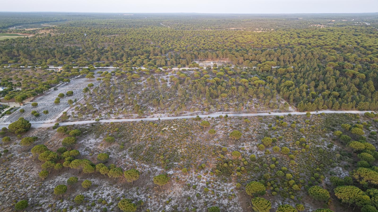 Terreno 7.5 ha, Muda, Grandola - Imagem 13