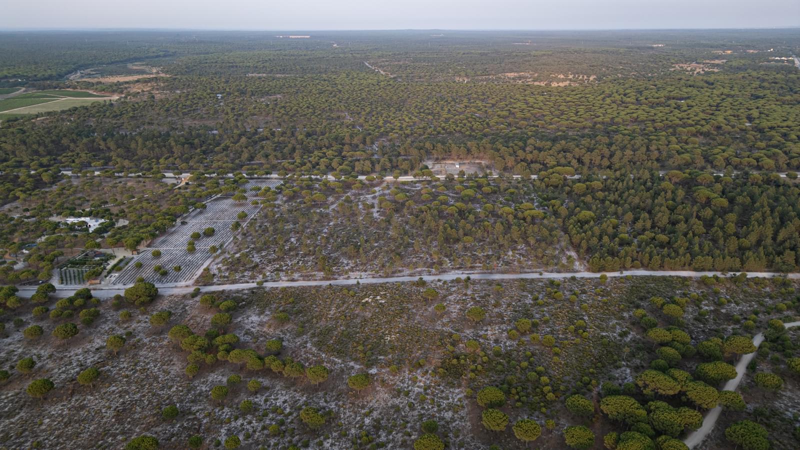 Terreno 7.5 ha, Muda, Grandola - Imagem 14