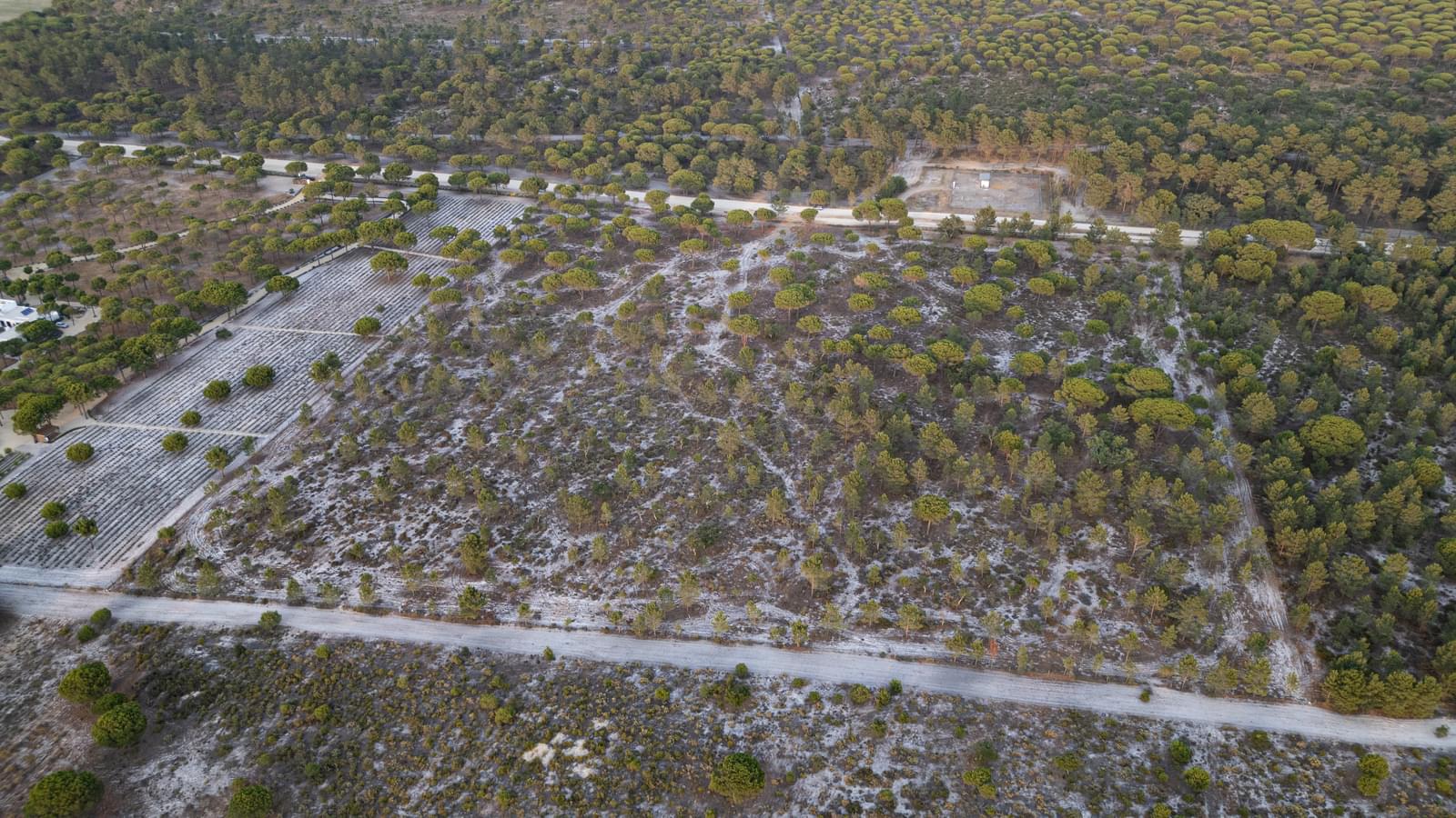 Terreno 7.5 ha, Muda, Grandola - Imagem 15